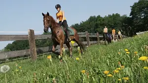 Reiten am Millstätter See – Hotel Bellevue